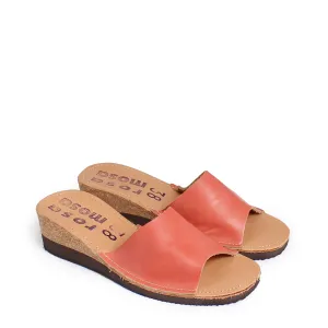 BETTY HIGH   Apricot
