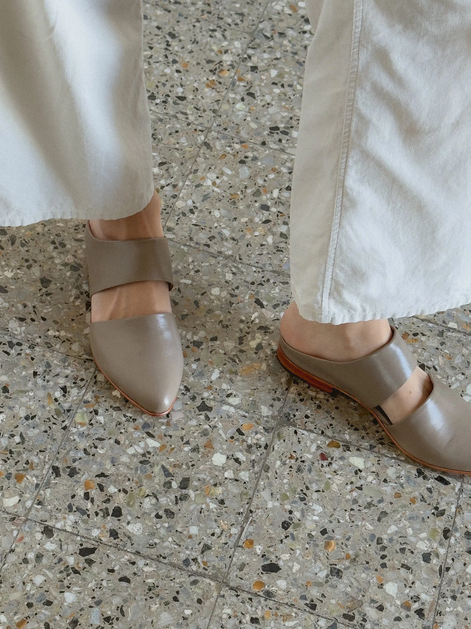 Mule in Shiitake