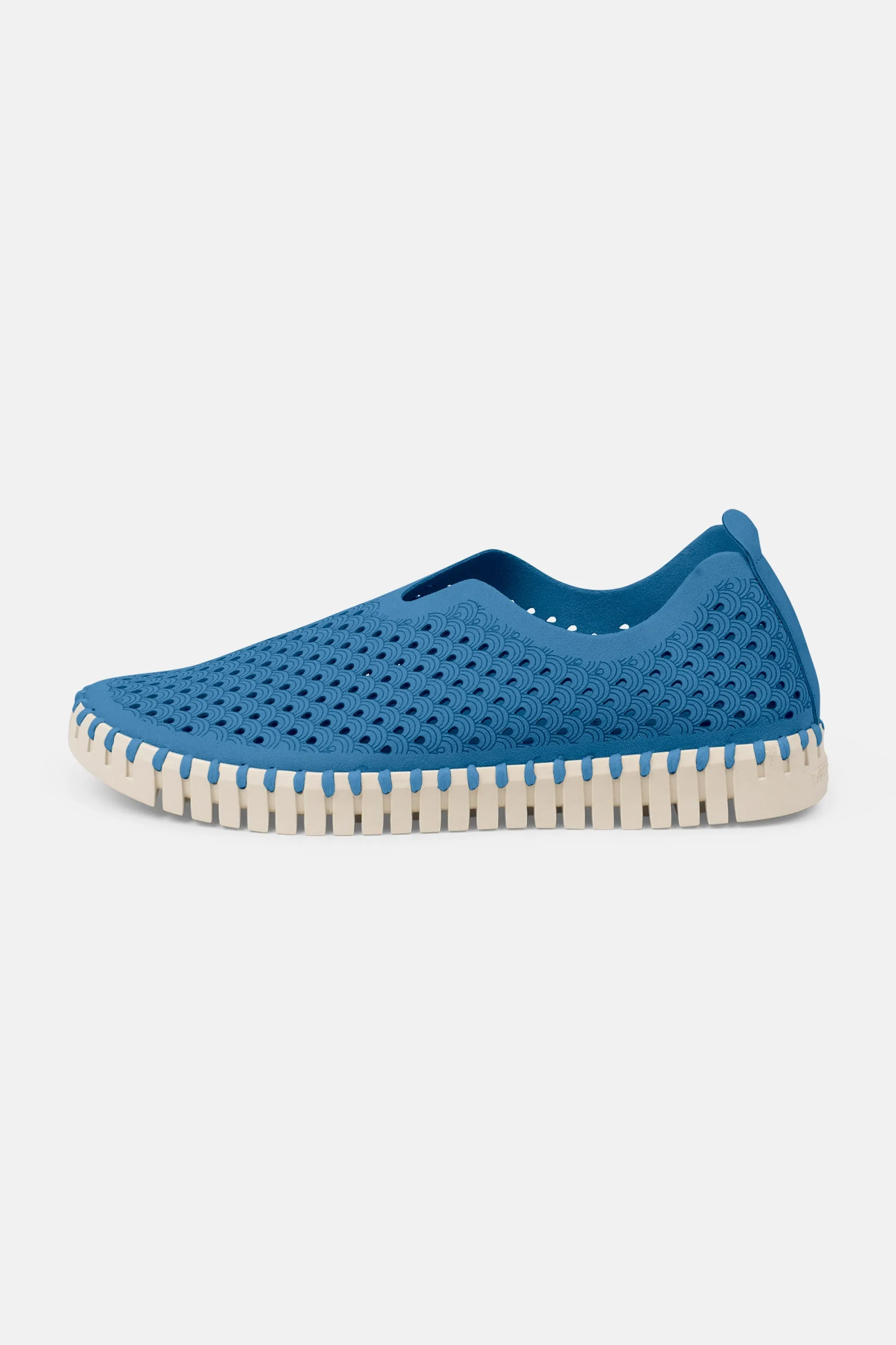 Tulip Slipper - Direct Blue